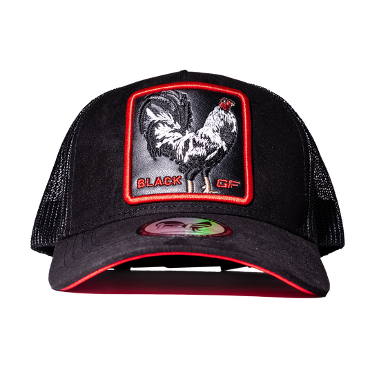 Black Gallo "Deluxe"